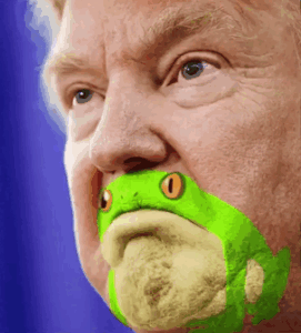 The common Trump Swamp frog